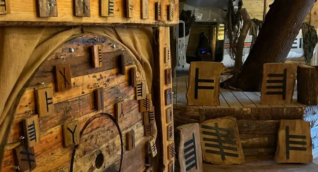 A scenic view of the forested area at Fota Island Adventure, highlighting the natural beauty and tranquility of the location.