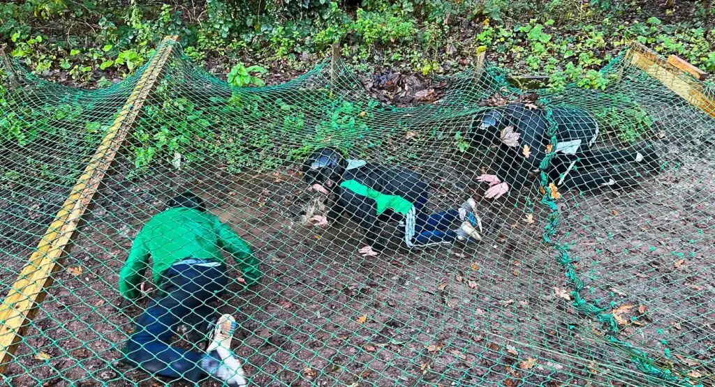 Children playing in a treehouse at Fota Island Adventure