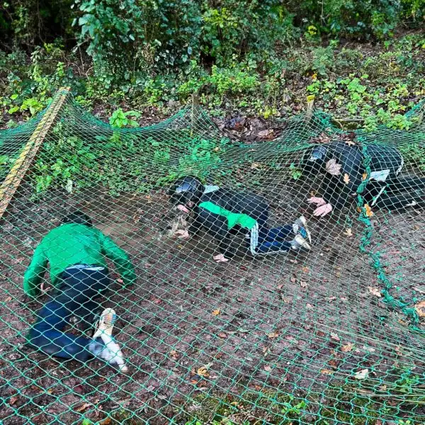 Children playing in a treehouse at Fota Island Adventure