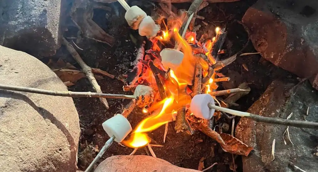 Children working together to solve a puzzle during a team-building exercise at Fota Island Adventure